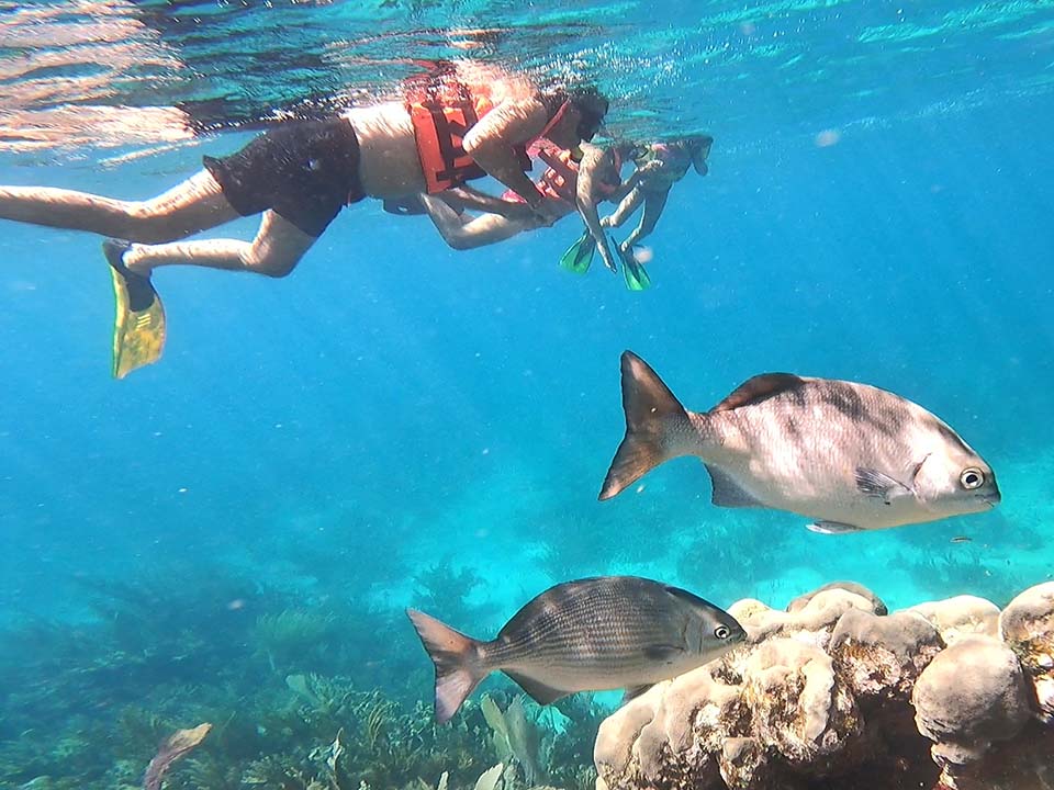 Puerto Morelos Reef Snorkel Tour