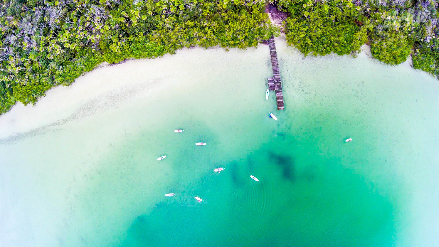 SUP Lagoon Paddleboard Expedition