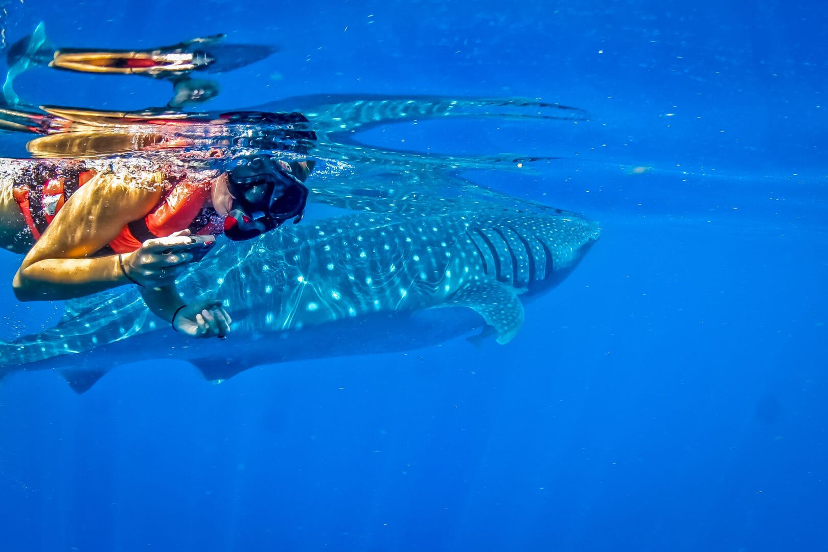 Snorkelers preparing to jump in